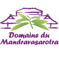 My Website